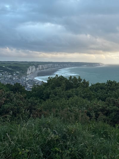 The image presents a wide, elevated view of a coastal landscape, likely Fécamp, France, overlooking the English Channel. In the foreground, dense green foliage, including trees, shrubs, and tall grasses, occupies the right side of the frame, indicating the viewpoint from a high cliff or hill.
The midground reveals a coastal town, characterized by numerous buildings tightly packed along a shoreline. Adjacent to the town is a beach, possibly pebbly, where white-crested waves break and roll onto the shore, reflecting the light. Stretching horizontally along the coast, prominent white chalk cliffs, typical of the Alabaster Coast, dramatically frame the coastline and separate the land from the sea.
Beyond the cliffs and beach, the expansive blue-green waters of the English Channel extend towards the horizon. The sky above is partially overcast with shades of grey and blue clouds, but a brighter patch of sunlight breaks through on the right, illuminating a section of the sea and creating a shimmering effect on the water. The overall lighting suggests either an early morning or late afternoon scene.
There are no visible people or discernible text in the image. The scene captures the rugged beauty of the French coast, highlighting the natural elements of the cliffs and sea, alongside the small coastal settlement.