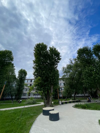 The image depicts a park-like area in front of a multi-story residential building, likely located in Rodnichkovoye, Russia. The building, with its grey facade and numerous white-framed windows, serves as the backdrop. Tall, leafy green trees are scattered throughout the foreground and midground, some reaching towards a sky with both grey, overcast clouds and patches of bright blue.

In the foreground, a paved pathway curves through a grassy area. Two cylindrical benches with wooden tops are positioned along the path. Further back, a long, dark bench with a wooden seat is situated near the building, with a trash receptacle next to it.

Several people are visible in the scene. On the grass near the pathway, two individuals are bent over, seemingly engaged in an activity. In the midground, to the right of the long bench, a person is pushing a stroller, with another individual standing nearby. The overall environment suggests a recreational space within a residential complex.