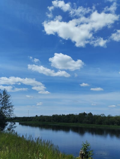 This is a daytime, eye-level, outdoor, vertical, photographic image of a wide, calm river flowing through a rural landscape. The sky is a vibrant blue with scattered white, fluffy clouds and some thinner, streaky clouds. On the left side of the image, the bank of the river is covered in tall, green grass and reeds, with a tree silhouetted against the water and sky. Opposite the grassy bank, the river is lined with a dense row of dark green trees and vegetation. In the distance, a single, tall, thin radio tower is visible above the treeline. The water of the river is dark blue and reflects the sky and surrounding greenery. The overall scene is serene and natural, suggesting a peaceful summer day in a rural area. Based on the provided location, this image likely depicts a scene within the Багушэвіцкі сельскі Савет in Belarus.