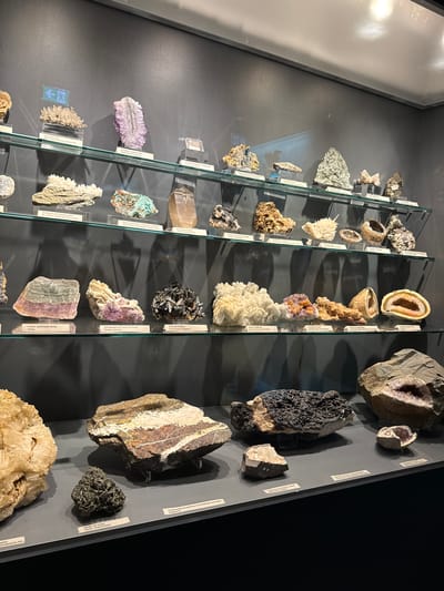The image shows a museum display of various mineral specimens mounted in glass-fronted cases against a dark gray wall. The specimens are arranged in vertical rows, with labels attached to the wall beside each one. The minerals vary in color, size, and texture, ranging from geodes with crystal-lined cavities to crystalline formations and banded rocks. Text is visible in German, including geographic locations like "Berbes, Spanien" (Spain), "China", "Grube Capnic, Rumänien" (Romania), "Xanthi, Griechenland" (Greece), and "Siegertand."