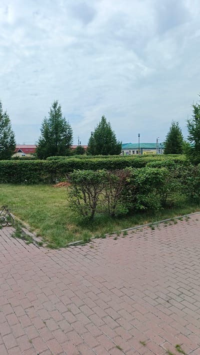 A slightly overcast sky with scattered clouds forms the backdrop for a park scene. In the foreground, a brick-paved walkway diagonally traverses the lower right portion of the image. To the left of the walkway, a patch of grass is visible, bordered by a low decorative metal fence. Beyond the grass, a neatly trimmed green hedge stretches across the mid-ground. Behind the hedge, several mature evergreen trees stand tall, their dark green foliage contrasting with the lighter green of the bushes. In the distance, buildings with red and green roofs are visible, suggesting an urban or semi-urban setting. One building has lettering that appears to read "ПОКУПАЙТЕ" (Pokupayte), meaning "Buy" in Russian. The overall impression is of a well-maintained public space. The specific location is the park area on Sovetskaya Street in Barabinsk, Russia, near the building of the former Barabinsk City Museum of Local Lore.