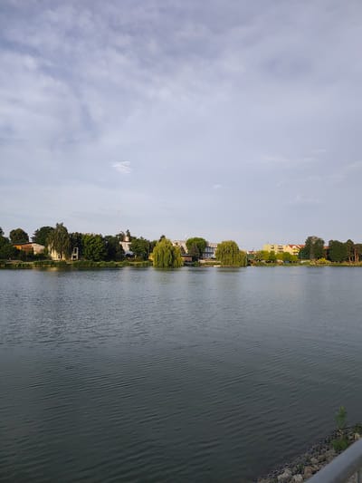 The image depicts a serene landscape with a wide body of water in the foreground, likely a lake or river. The water's surface is gently rippled, reflecting the overcast sky. In the background, a lush, tree-lined shore separates the water from a collection of buildings. These structures appear to be a mix of residential and possibly commercial properties, with various architectural styles and heights. Among the trees, a tall, slender white tower with antennas is visible, suggesting a communication or broadcasting facility. The foliage is predominantly green, indicating a warm season, likely summer or late spring. The sky is a pale blue with scattered clouds, suggesting a partly cloudy day with diffused sunlight. The overall atmosphere is peaceful and tranquil, with no visible human activity or prominent objects. The location context of Stryków, Poland, places this scene in a European setting. The time of day appears to be late afternoon or early evening, given the soft lighting. There is no visible text within the image.