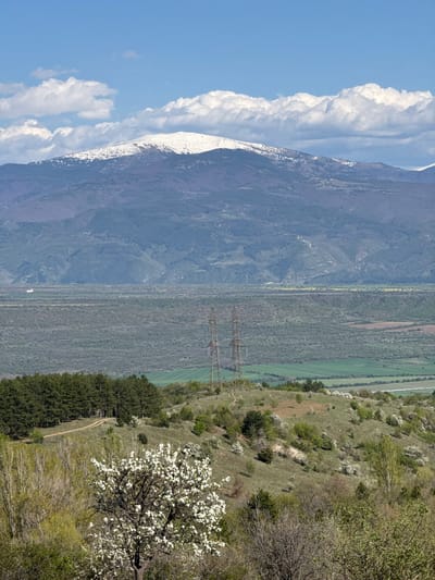 The image captures a landscape near Tsarvishte, Bulgaria. A snow-capped mountain dominates the left side of the frame, transitioning into a valley with electrical pylons. To the right, a hillside with trees in bloom leads down to a forested area. A dirt path winds through the trees. The sky is blue with scattered clouds.