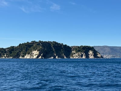 The image depicts a coastal landscape with a rocky island covered in dense green trees and a few buildings visible on its summit. The island is surrounded by deep blue water with visible ripples on the surface. In the background, a distant, hazy coastline with scattered buildings and hills can be observed under a clear blue sky with a few wispy clouds. While the location is stated to be Bormes-les-Mimosas, France, the image itself does not contain specific landmarks that definitively identify it as such, other than the general Mediterranean coastal scenery. There are no people, animals, or overt actions depicted in the scene.