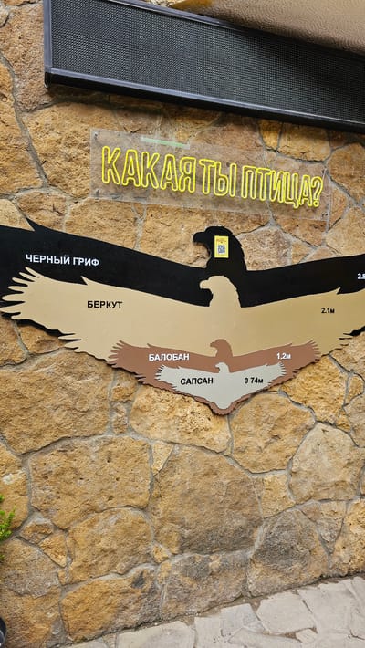 The image shows a display of bird silhouettes with their names and wingspans on a stone wall. The display is an educational exhibit located in the city of Krasnyy Kurgan, Russia. The birds depicted are, from largest to smallest: Черный гриф (Black Vulture) with a wingspan of 2.8m, Беркут (Golden Eagle) with a wingspan of 2.1m, Балобан (Saker Falcon) with a wingspan of 1.2m, and Сапсан (Peregrine Falcon) with a wingspan of 0.74m. Above the silhouettes, a neon sign reads "КАКАЯ ТЫ ПТИЦА?" which translates to "What kind of bird are you?". A QR code is also visible on the display. The background is a rough, textured stone wall.