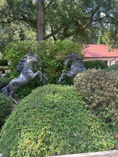 The image shows two bronze sculptures of horses rearing up on their hind legs, placed amidst lush green bushes. The horse on the left is more fully visible, while the horse on the right is partially obscured by foliage. In the background, a building with a red tiled roof is visible, along with large trees providing shade. A person wearing a white t-shirt is partially visible in the distance to the left, walking near a fence. The overall scene appears to be an outdoor garden or park setting. The sculptures suggest a theme related to horses or equestrian activities.