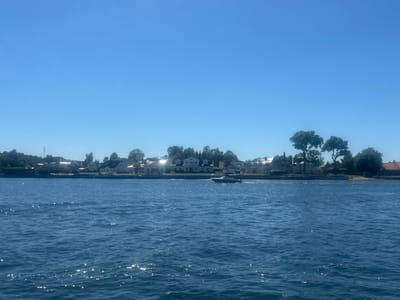 The image captures a wide-angle view of a calm body of water, likely a fjord or bay, with a shoreline populated by houses and trees under a clear blue sky. The sun glints off the water's surface, creating sparkling reflections. In the mid-ground, a white motorboat with a dark trim is visible, moving across the water. The shoreline features several residential buildings, some with red-tiled roofs, interspersed with lush green trees. The overall scene suggests a sunny day in a residential area near the coast. Based on the architectural style and the coastal setting, this scene is consistent with areas in Tønsberg, Norway.