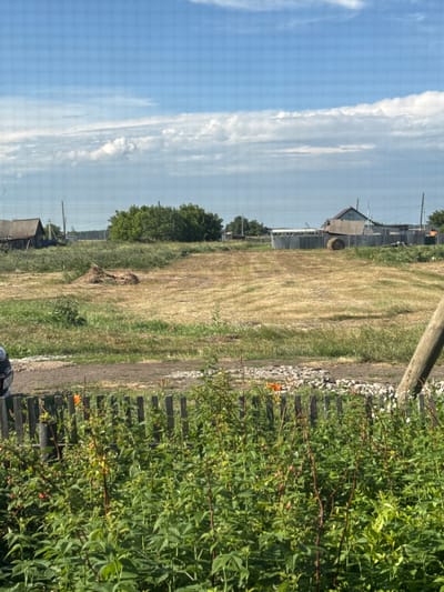 This media file depicts a rural scene in Fyodorovka, Russia. The image is oriented vertically, showing a landscape dominated by a large, dry, grassy field. To the right, a dense patch of vibrant green foliage, possibly raspberry bushes, lines a wooden fence. Several orange flowers are visible amongst the greenery. A dirt path runs alongside the field, separating it from the bushes.

In the background, several rustic structures are scattered across the landscape. One building, with a pitched roof and wooden siding, is partially visible on the left. Beyond this, more structures and trees can be seen, suggesting a small village or settlement. Overhead, a bright blue sky with scattered white clouds indicates fair weather, likely during the daytime. A power line stretches across the sky, further suggesting a inhabited area. A weathered wooden post is prominent in the foreground, leaning into the frame from the top right. A small pile of wood is visible in the grassy field.

No people are visible in the frame. The scene appears calm and serene, evoking a sense of rural life and nature. There is no visible text in the image.