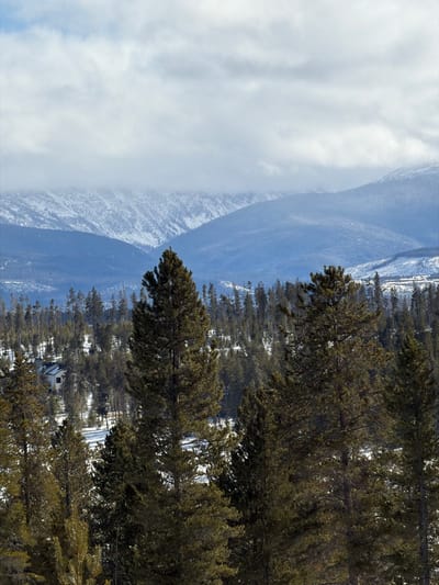 The image shows a landscape with a mix of natural and man-made elements. Heavily clouded sky to the left contrasts with a mountain range in the background, partially covered in snow. A dense forest fills the right side of the frame, with tall trees dominating the view. In the midground, a small building or structure is visible amidst the trees. The overall scene suggests a remote and mountainous area. The photograph is rotated counter-clockwise.