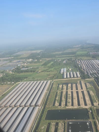 This aerial photograph depicts a vast agricultural or aquaculture complex in the Paluh Sibaji region of Indonesia. The scene is dominated by numerous long, rectangular structures with grey, corrugated metal roofs, arranged in rows. These structures appear to be farm buildings, possibly for livestock or crops. Between the rows of buildings, there are open areas of land, some with visible soil and vegetation.
In the lower portion of the image, there are several rectangular ponds, some of which are filled with dark water. Aerators are visible in some of these ponds, suggesting aquaculture operations. The surrounding landscape is a mix of green fields, trees, and smaller structures, indicating a rural or semi-rural setting. The sky is clear and blue, with a slight haze blurring the distant horizon. The overall impression is one of large-scale agricultural activity.