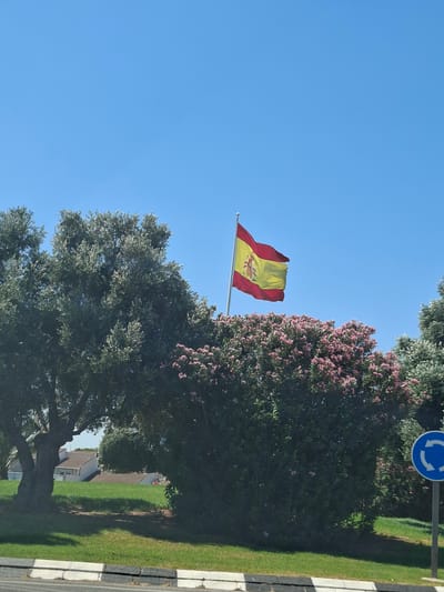 The image depicts a bright, sunny day in Urbanización El Chaparral, Spain. The primary focus is a Spanish flag waving proudly from a flagpole against a clear blue sky. The flag is composed of three horizontal stripes: red, yellow, and red. The yellow stripe is twice the width of each red stripe and features the Spanish coat of arms.

In the background, lush green trees are abundant, with one particularly large tree dominating the lower right portion of the frame. This tree has a thick, gnarled trunk and a dense canopy of green leaves. Adjacent to this is another large shrub or tree adorned with clusters of delicate pink flowers, likely oleander, a common sight in Spain.

To the right of the trees, a neatly mown green lawn stretches out, bordered by a pathway or road with a black and white striped curb. A circular blue traffic sign with white arrows indicating a roundabout is visible on a pole, suggesting a road intersection. In the distance, peeking through the foliage, are the tiled roofs of houses, indicative of a residential area.

The overall impression is one of a pleasant day in a well-maintained urban environment, with the Spanish flag adding a patriotic element to the scene. The lighting suggests it is likely midday or early afternoon. There is no visible text in the image apart from the symbols on the traffic sign.