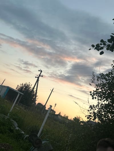 The image depicts an outdoor scene at dusk, likely in a rural or suburban area, with a wide view of the sky. The sky is filled with a mixture of gray and pinkish clouds, indicating the setting sun. There are several utility poles with electrical wires crisscrossing the frame, suggesting infrastructure for power distribution.
In the foreground, lush green vegetation and overgrown grass dominate the lower portion of the image. A small structure, possibly a shed or outbuilding, with a light-colored wall and a blue section, is visible on the left side. A garden cart with two wheels is also present amidst the greenery. A wooden fence can be seen in the background, separating different areas. Trees, some with dark foliage silhouetted against the sky, are scattered throughout the scene.
On the far right of the image, a portion of a person's head is visible, suggesting that the photograph was taken by someone. The overall ambiance is one of a quiet, end-of-day setting in a natural or semi-developed environment. The location is specified as Nizhniye Mully, Russia.