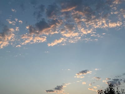 The image shows a wide expanse of a pale blue sky with scattered clouds. The clouds are illuminated with soft, warm hues of pink and orange, suggesting either sunrise or sunset. Some clouds are dark gray, indicating depth and possibly moisture. In the lower right corner, the dark silhouette of tree branches is visible, partially obscuring the sky. The scene is peaceful and natural, with no visible people or man-made structures other than the implied surrounding environment of Sardoba, Uzbekistan, which provides the geographic context for this sky view.