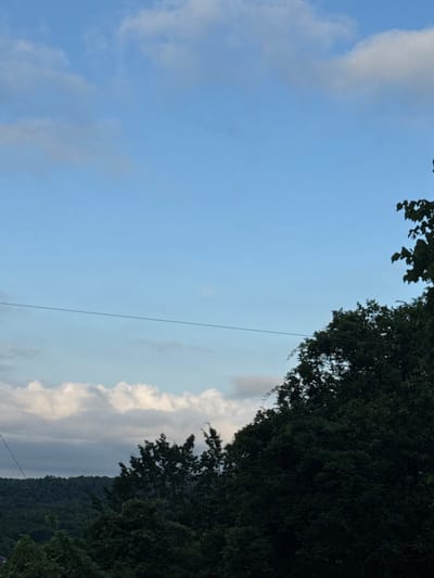 The image captures a landscape scene, likely in or near Akydra, Abkhazia. The upper portion of the frame is dominated by a clear blue sky with scattered, wispy clouds. A thin, dark horizontal line, possibly a utility wire, stretches across the middle of the sky. Below the sky, a dense, dark green forest covers rolling hills. In the foreground and right side of the image, the tops of tall, dark green trees with leafy foliage are visible, some branches extending upwards and to the right. The lighting suggests it is daytime, possibly late afternoon or early evening, given the soft light and the appearance of the clouds. There are no people or discernible human activity in the image.