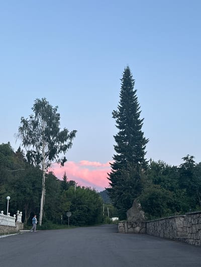 A person is walking on an asphalt road in an outdoor setting at dusk. The person is wearing a blue denim jacket and gray pants. To the left of the road, there is a white stone railing with decorative posts and a lamppost. Behind the railing, there are trees and a hillside. To the right of the road, there is a stone wall. In the background, there are many trees and a tall, slender evergreen tree. The sky is a light blue, with streaks of pink and orange clouds, indicating sunset. The overall scene suggests a peaceful, rural or semi-rural environment. The location is specified as Danilovka (Altai), Russia.