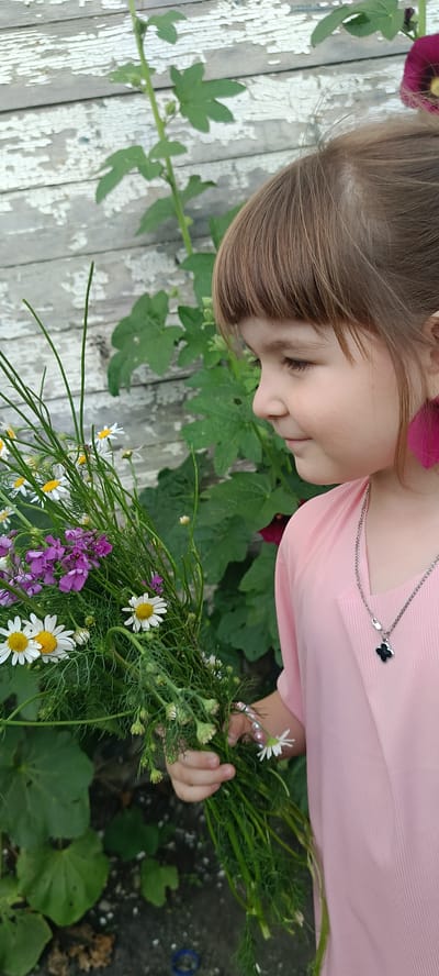 A young girl with brown hair and bangs, wearing a pink dress and a silver necklace with a black clover pendant, holds a bouquet of wildflowers. She is positioned in front of a weathered, white wooden fence with green foliage and a large, dark pink flower in the background. The scene appears to be outdoors in what could be a rural or suburban setting in Nikolaevka, Russia, as indicated by the rustic fence and wild plants. The girl is looking downwards, seemingly at the flowers.