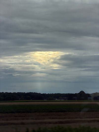 The image depicts a rural landscape under a heavily overcast sky. A bright patch of sunlight breaks through the clouds, illuminating a portion of the sky above a dark line of trees. Below the trees are several fields, with varying shades of green and brown suggesting different crops or stages of growth. Some buildings, possibly farmhouses, are visible nestled within the treeline. The overall impression is one of a somewhat gloomy, yet potentially serene, countryside. The specific location in Sieradz, Poland, is not visually identifiable within the image itself.