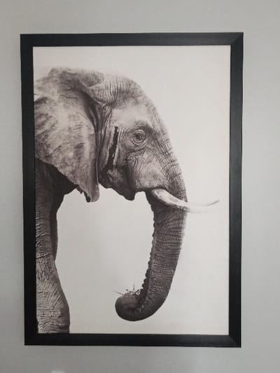 A framed, black-and-white photograph of an elephant hangs on a light gray wall. The elephant's head and upper body dominate the image, with its trunk curled upwards and slightly to the right. The composition is detailed, highlighting the elephant's skin texture and prominent features. The frame is a simple, modern black design that contrasts with the white background of the photograph and complements the monochromatic artwork.