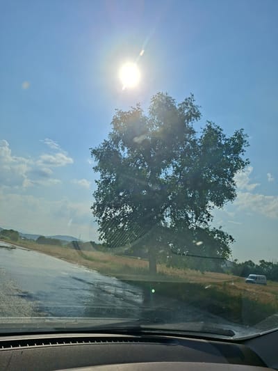 The image, captured from inside a vehicle, shows a bright sun shining through a clear blue sky with scattered white clouds. In the foreground, the wet asphalt of a road reflects the sky and sunlight, indicating recent rain. A large, leafy tree stands prominently to the right of the road, silhouetted against the bright sky. Beyond the tree, a grassy field slopes upwards towards distant hills. A white van with red lettering, possibly a commercial vehicle, is parked on the side of the road in the middle distance. The scene suggests a rural or semi-rural setting, potentially in or near the village of Petkovo, Bulgaria, given the typical landscape of such regions. The dashboard of the vehicle is visible at the bottom of the frame.