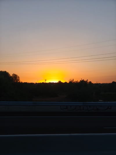 An outdoor, vertical, medium shot captures a serene sunset over a rural landscape near Riba-roja de Túria, Spain. The sun, a vibrant orb of yellow and orange, is setting just above the horizon, casting a warm glow across the sky. The sky transitions from a soft blue at the top to a gradient of orange and yellow as it nears the sun. Several power lines stretch horizontally across the sky, silhouetted against the colorful backdrop. Below the sky, a dark silhouette of trees and vegetation forms a dense line across the middle ground, obscuring the land behind it. In the foreground, a dark asphalt road runs horizontally, divided by a white line. A metallic barrier, likely a guardrail, runs along the edge of the road, its surface subtly decorated with graffiti. The overall impression is one of peaceful twilight in a semi-rural setting.