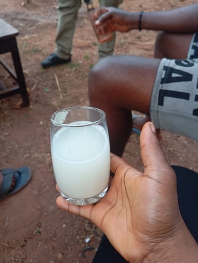 The image captures a casual outdoor gathering of at least three individuals, with a focus on a hand holding a clear glass filled with a milky white beverage.

In the foreground, a person's right hand, with dark skin, holds a standard clear glass tumbler. The glass contains an opaque, light-colored liquid that appears white or off-white, possibly a traditional drink like palm wine or a similar beverage. The hand is positioned against a background of what appears to be a dark fabric, likely the person's clothing (e.g., black trousers or shorts).

To the right of the person holding the glass, another individual is partially visible, seated. Their dark-skinned legs and arm are seen. They are wearing grey shorts with the letters "AL" clearly visible on the fabric, likely part of a larger word. This person's right arm is bent at the elbow, and they are holding a small, brown, glass bottle or container in their hand. A black beaded bracelet is worn on their wrist. A light blue flip-flop or sandal is visible on the reddish-brown ground near the bottom left corner, possibly belonging to the person holding the glass or another unseen individual.

Further in the background, another person is standing. Only their legs and lower torso are visible. They are wearing olive green trousers and black shoes. This person also appears to be holding a brown bottle or glass, similar to the one held by the seated person.

The setting appears to be outdoors, with the ground composed of reddish-brown soil or earth, characteristic of unpaved areas. There are scattered dry leaves and debris on the ground. The lighting suggests it is daytime. The overall impression is one of a relaxed social occasion, with people enjoying drinks together in an informal outdoor environment.