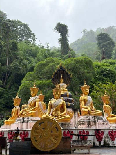 The image displays a Buddhist temple site nestled at the base of a densely forested mountain in Chiang Dao, Thailand, under an overcast sky. In the foreground, a large, ornate golden Dharma wheel stands upright, adorned with colorful segmented patterns. To its left, a dark rectangular plaque with Thai script rests on the ground. A row of multiple golden Buddha statues occupies the midground, seated on elevated, multi-tiered white and pink-hued platforms. Each Buddha wears a golden crown and a white sash over its left shoulder, depicted in a meditative pose. The central Buddha figure is distinguished by a coiled, multi-headed black Naga providing a canopy above it. The platforms supporting the statues exhibit weathering and dark stains. Below the platforms, red winged mythical creatures, likely Garudas, are affixed to the base. Various stone planters and small decorative elements, including a miniature dark Buddha statue and a boat-shaped offering tray, are present on the ground level. The background features a steep, verdant mountain slope covered in lush, dense green foliage. Scattered within the upper reaches of the forest, several weathered, dark-colored stupas or chedis with pointed finials are visible, partially integrated into the natural landscape. The sky above is uniformly light grey and overcast. No people are visible in the scene.