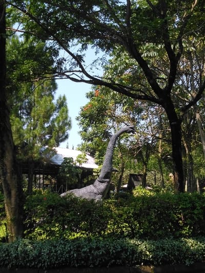 The image depicts an outdoor environment in Ban Xieng Lom, Laos, featuring a large dinosaur sculpture amidst dense foliage under a clear blue sky. A prominent grey, textured sculpture of a long-necked dinosaur, with its head facing right, emerges from behind a meticulously trimmed hedge of green and variegated shrubs in the mid-ground. The upper portion of the scene is framed by the canopy of broad-leafed trees, with bright sunlight illuminating the leaves and parts of the sculpture. A tall, dark-trunked tree is visible on the far left, partially obscuring a conifer behind it. To the left of the dinosaur sculpture, a building with a white, corrugated metal roof and dark supports is discernible, set back amongst the trees. A smaller, dark, triangular-roofed structure is partially visible further right in the background. No individuals or discernible actions are present.