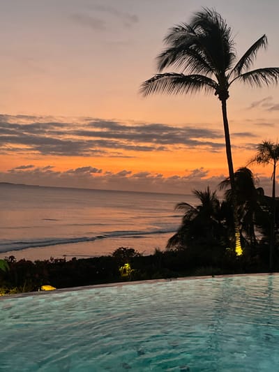 A tranquil scene showcases a sunset, reflected in calm waters. Silhouetted palm trees frame the left side, while lush, dark foliage lines the right. The sky displays a mix of orange and grey hues. The right side of the image features a pool's edge.