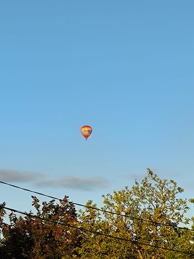A single hot air balloon with orange and yellow accents is visible against a clear blue sky. The balloon has some writing on it that is not legible. In the foreground, the tops of trees with green and brown leaves are visible, along with power lines stretching horizontally across the frame. The scene appears to be outdoors, likely in a semi-rural or suburban setting, given the presence of trees and power lines. The lighting suggests it is daytime, possibly late afternoon or early morning due to the warm colors in the balloon and foliage. The location is identified as Novonikolskoye, Russia.