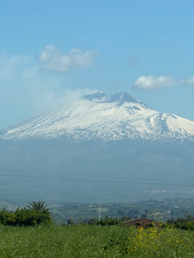 The image shows Mount Etna, a stratovolcano on the east coast of Sicily, Italy, located near Belpasso. The mountain, partially covered with snow, rises high in the frame. To the right of the mountain, the landscape transitions into a green, cultivated area dotted with trees and a few structures, including a building with a dark roof. Power lines are faintly visible running vertically through the scene. In the foreground, there is lush greenery including what appears to be a palm tree. The sky is clear with a few scattered clouds.