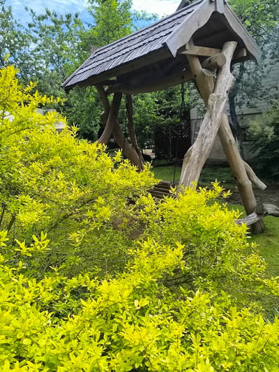 In Žiaukos, Lithuania, a rustic wooden swing set stands in a lush green garden. The swing set's roof is made of weathered wooden shingles, supported by thick, natural tree trunks that form its legs. In the foreground, vibrant green bushes with small, bright leaves create a dense foliage that partially obscures the swing set. The background reveals more trees and a portion of a building. The overall scene suggests an outdoor recreational space, possibly a backyard or a park.