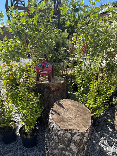 The image depicts an outdoor scene, likely a garden or nursery, with a whimsical wooden sculpture placed on a tree stump. The sculpture is a brightly painted creature with a red, round body, large blue eyes, and a wide, toothy grin. Its legs and tail are also painted. The tree stump itself is rough-hewn and sits amongst various green plants in black pots. In the background, there's a glimpse of some industrial-looking structure, possibly part of a Ferris wheel, and a brick building, suggesting an urban or semi-urban setting. The ground is covered with small grey stones. The lighting suggests it is a sunny day. While the image is geotagged to Yelets, Russia, there are no visible landmarks or identifying features that specifically confirm this location beyond the provided metadata. There are no people visible in the image.