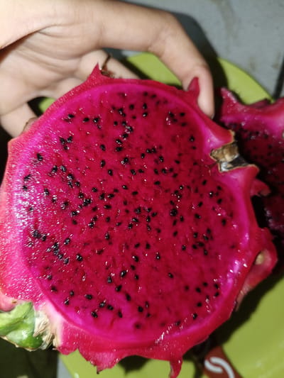 The image shows a close-up of a halved red dragon fruit being held by a hand. The dragon fruit has bright pink flesh speckled with numerous small black seeds. The hand is visible from the wrist up, with fingers gently cupping the fruit. The background is blurred but suggests a green plate or surface. The lighting is dim, possibly indicating indoor lighting. The scene is a simple, still life focused on the texture and vibrant color of the fruit. There is no visible text. The location context provided is Cileungsi, Indonesia, which does not offer any specific visual cues within the image itself.