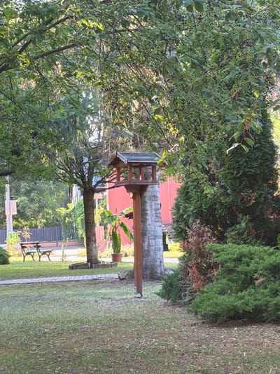 The image depicts a sunlit garden scene in Tiszaszentmárton, Hungary. In the foreground, a wooden bird feeder stands on a post amidst lush green grass. To the left, a paved pathway leads towards a park bench set against a backdrop of trees and a grey fence. A bright pink building is visible behind the bird feeder and trees. The garden features various trees, including a mature tree with a thick trunk near the bird feeder, and evergreen shrubs to the right. A potted plant is also visible near the pink building. The overall impression is one of a peaceful, well-maintained outdoor space.
