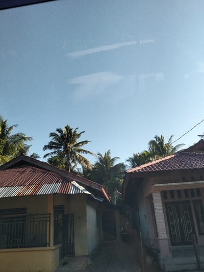 Two houses with reddish roofs frame a narrow pathway. The left house has a corrugated metal roof and a fenced-in yard. The right house features a tiled roof and a decorative facade. Palm trees rise behind the houses, silhouetted against a clear blue sky. The image appears to be taken from a moving vehicle, due to the dark reflection in the upper portion of the frame.