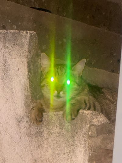 The image captures a tabby cat with glowing green eyes, sitting on concrete steps in Miriantsi, Bulgaria. The cat is positioned centrally, with its paws resting on the lower step. Its fur exhibits typical tabby markings of brown and black stripes. The eyes are highly reflective, giving them an eerie green glow, likely due to flash photography. The concrete steps appear worn and textured, with some minor debris visible. The background consists of a darker, possibly rough-textured surface. The lighting conditions suggest it is nighttime or a dimly lit area, with the flash causing the prominent eye reflection and light streaks.