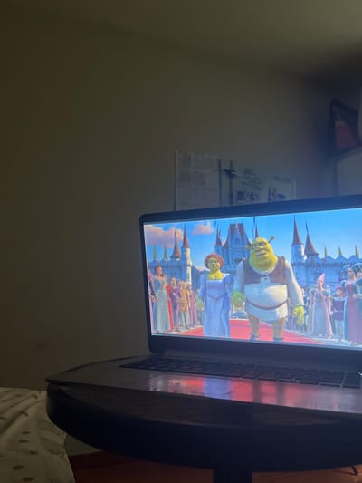 The image displays a dimly lit indoor scene featuring a dark-colored laptop displaying an animated movie. The laptop is positioned on the right side of the frame, with its screen oriented vertically relative to the image's overall portrait aspect. The bright screen illuminates a portion of the dark room.
The laptop screen clearly shows a scene from the animated film "Shrek." Prominently featured are the characters Shrek, the green ogre, wearing a white shirt and brown vest, and Princess Fiona, also in her ogre form, dressed in a purple-blue gown. They are standing on a red carpet in front of a grand fairytale castle characterized by multiple spires and banners, set against a bright blue sky with light clouds. Several other animated human characters in various royal or medieval attire are visible in the background, suggesting a large gathering or ceremonial event.
The room's background is mostly dark and indistinct. A plain, light brown or beige wall is visible on the left side. Faint, blurry shapes in the upper left corner might be a picture frame or shelf, and some smaller objects, possibly papers or pictures, appear to be tacked to the wall below. In the bottom right corner, a white fabric with dark polka dots, likely bedding or a blanket, is partially visible. The dim lighting implies the photo was taken at night or in a poorly lit environment. The image itself provides no specific visual cues to confirm the location context of San Luis, Peru.