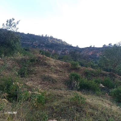 A hillside view reveals rugged terrain, transitioning from a grassy slope to a rocky escarpment. Sparse vegetation, including small shrubs and scattered trees, dots the landscape. In the background, a distant ridge with more dense tree cover meets the light sky. The foreground shows dry grass and low-lying greenery, hinting at a potentially arid or seasonally dry climate. The composition captures a natural scene, suggesting a remote and undeveloped location.