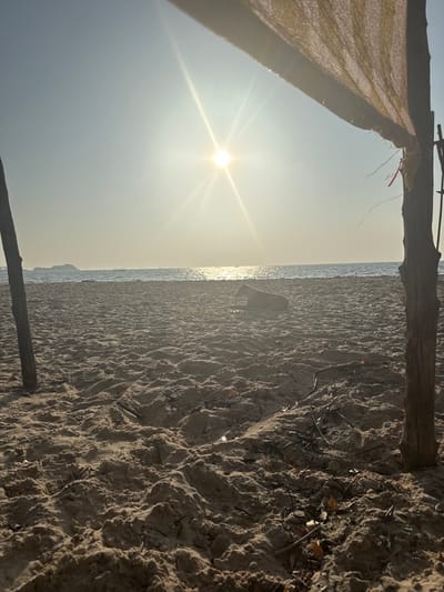A forensic examination of the image reveals a sunlit beach scene in Bhagatwadi, India. The foreground consists of textured light brown sand, exhibiting undulations and scattered organic debris including small twigs and leaves. To the left, a thick wooden post rises vertically from the sand. To the right, another similar wooden post supports a section of light-colored, loosely woven fabric or tarp, draped diagonally across the upper right portion of the frame, providing partial shade. The sun, a bright, radiating orb, is positioned in the upper center of the clear, pale blue sky, casting a strong glare across the calm ocean surface in the mid-ground. Several indistinct vessels are visible on the distant horizon. A dark-colored dog lies recumbent on the sand in the mid-ground, positioned facing towards the right side of the frame. No human figures are present. The scene is illuminated by direct sunlight, indicating either early morning or late afternoon.