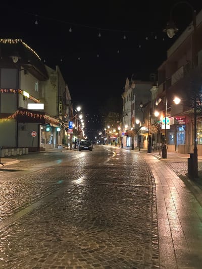 The image depicts a street at night in Dimitrovgrad Municipality, Serbia. The street is paved with cobblestones and appears to be wet, reflecting the light from street lamps and building lights. Buildings line both sides of the street, and their illuminated signs and decorations are visible. A string of lights hangs above the street. The scene is dimly lit but offers a clear view of the architectural details and urban layout. There are no people visible in the picture.