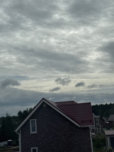 The image captures a residential area in the city of Zhilino (Lunevskoye S/p, Russia) under a cloudy sky. The foreground is dominated by the roof and upper portion of a dark-clad house with a maroon metal roof. A white-framed window is visible on the dark facade. Behind this house, a cluster of other houses and the dense green foliage of a forest form the background. The sky is filled with an overcast of gray clouds, creating a subdued lighting condition. The scene appears to be a still, quiet moment in a suburban or rural setting.