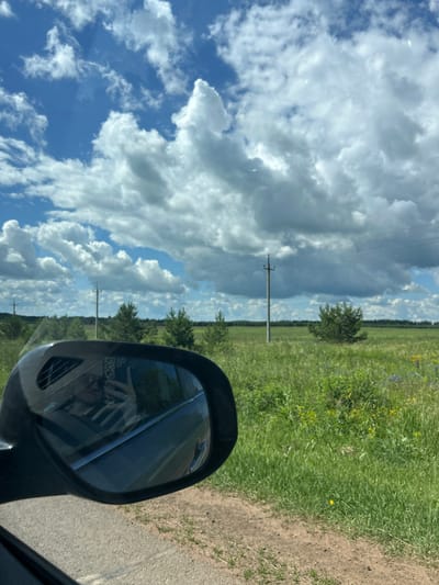 The image displays a view from a moving vehicle, capturing a rural landscape with a cloudy sky. In the foreground, a side-view mirror reflects a person taking a selfie with a smartphone. The mirror also shows the interior of the car, including a person wearing glasses and a patterned phone case.

The exterior scene reveals a roadside with a dirt track bordering a field of tall green grass dotted with small yellow and blue wildflowers. In the middle ground, several young pine trees are sparsely scattered across the field. Further in the distance, a line of darker green trees forms a horizon, backed by a vast, dramatic sky filled with large, fluffy white and gray cumulus clouds. Two utility poles with wires are visible, indicating the presence of infrastructure in the rural area. The overall impression is a scenic drive through the countryside.