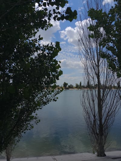 The image depicts a serene natural landscape, likely a lake or reservoir, with a clear blue sky dotted with white clouds. The foreground is dominated by two trees, one on the left with dense green foliage and another on the right that appears to be bare with intricate branches. The water's surface is calm, reflecting the sky and surrounding environment. In the distance, a sandy shore is visible, lined with a strip of trees and vegetation. The overall impression is one of tranquility and natural beauty, suggesting a peaceful day outdoors. The location is identified as Гвардейское сельское поселение, Ukraine.