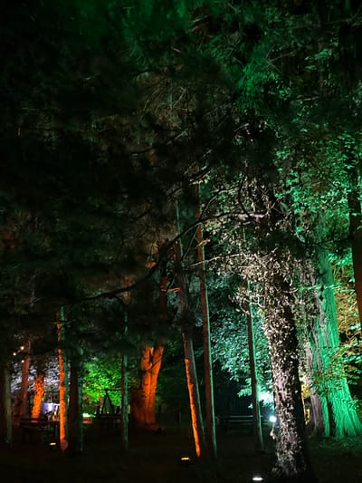 The image depicts a nighttime scene within a wooded area in Sremski Karlovci Municipality, Serbia. The environment is dominated by numerous trees, with their foliage and trunks illuminated by artificial lighting in distinct color zones. The trees on the right are brightly lit with a vibrant green hue, highlighting their bark and leaves. In contrast, trees on the left and central-left are illuminated in an orange-amber color, emphasizing their trunks. A prominent tree in the central-right features light-colored ivy or climbing foliage, illuminated by a cooler, likely white, light source.
In the mid-ground on the left, several dark wooden picnic tables and benches are visible beneath the orange-lit trees. Behind these, a light-colored structure, possibly a tent or canopy, is discernibly lit. Further back and to the right of the center, a dark, triangular structure resembling a large teepee or A-frame tent is partially visible amidst the green-lit trees. A string of small, warm white globe lights is suspended between trees in the upper-left portion of the frame. Several discrete ground-level lights emit soft white or yellow light, illuminating the immediate vicinity of some tree trunks and pathways. A brighter white light source is positioned behind the ivy-covered tree on the right, and a dark railing or fence runs across the mid-ground behind some of the illuminated trees. The ground is dark, appearing to be natural earth or forest floor. No individuals or animals are present in the scene, and no specific actions or interactions are depicted.