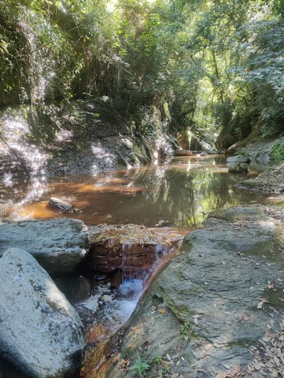 The image depicts a serene natural scene within a gorge, likely in the Municipal Unit of Evrymenon, Greece. A narrow, clear stream flows over rocks, creating small cascades and pools. The water, reflecting the dappled sunlight filtering through the dense, green foliage overhead, appears a reddish-brown hue due to the mineral content of the surrounding rocks. Large, grey boulders are scattered along the stream banks, some covered in moss. The gorge walls are steep and rocky, with vegetation clinging to them. The overall impression is one of a secluded and tranquil natural environment. There are no people or man-made structures visible in the image.
