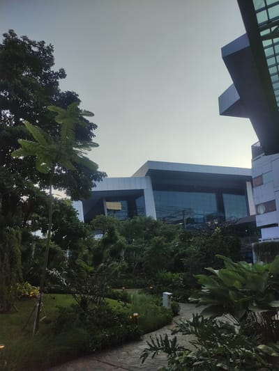 This image displays a modern architectural complex situated within a densely vegetated tropical garden, located in Rawa Burung, Indonesia. The ambient light suggests either twilight or an overcast sky, casting a soft, muted illumination across the scene. A prominent, contemporary building occupies the midground, characterized by a dark, angular design and extensive glass curtain walls that reflect the pale sky and subtle internal light sources. To the right, a section of an adjacent, lighter-colored building with multiple windows is partially visible. The foreground and midground are dominated by lush, verdant foliage, comprising mature trees with dark canopies, a slender tree featuring large, segmented fronds on the left, various shrubs, and groundcover. A winding path constructed from irregular stone pavers is visible in the lower right, subtly illuminated by small, warm-toned ground lights embedded in the landscape. No individuals, overt actions, or interactions are present in the frame.