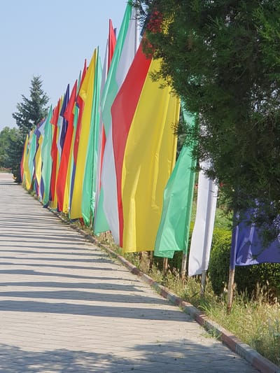 A string of colorful flags, predominantly yellow, red, white, and green, stretches along a paved pathway bordered by lush greenery. The flags are strung at an angle, creating a vibrant canopy overhead, with some partially obscured by the branches of a dark green coniferous tree in the foreground. The pathway itself is made of light-colored, textured paving stones, casting long, distinct shadows from an unseen source, suggesting a sunny time of day. The scene appears to be an outdoor setting, possibly a park, festival grounds, or a celebratory avenue. The sky is a clear, pale blue, indicating fair weather. There are no people or specific text visible in the image. The overall impression is one of festivity and brightness, with the colorful flags creating a cheerful and lively atmosphere. The location context suggests this may be a public space in Dubossary, Moldova.