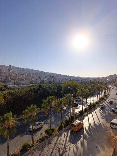 This media file captures a sun-drenched urban landscape, likely in Nablus, Palestinian Territories. The scene is dominated by a sprawling city that stretches up a hillside, characterized by numerous buildings with light-colored facades. Lush green trees form a dense canopy in the foreground and mid-ground, providing a natural contrast to the urban development.
A main road curves through the scene, lined with tall palm trees casting long shadows due to the bright sunlight. Several vehicles, including cars and what appears to be a yellow taxi, are visible on the road, suggesting moderate traffic. The sky is a clear, vibrant blue, with the sun high and bright, indicating it is daytime, likely late morning or early afternoon. The overall impression is one of a bustling city under a clear, sunny sky. There is no visible text in the image.