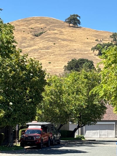 The image shows a residential street in Novato, California, with a large, dry, golden-brown hill in the background. The hill has a few sparse green bushes and a lone tree on its crest. In the foreground, lush green trees line the street, partially obscuring a residential building with a light-colored garage door. Two vehicles are parked on the street: a red pickup truck with a rooftop tent and a dark-colored SUV behind it. The sky is a clear, bright blue, indicating a sunny day.