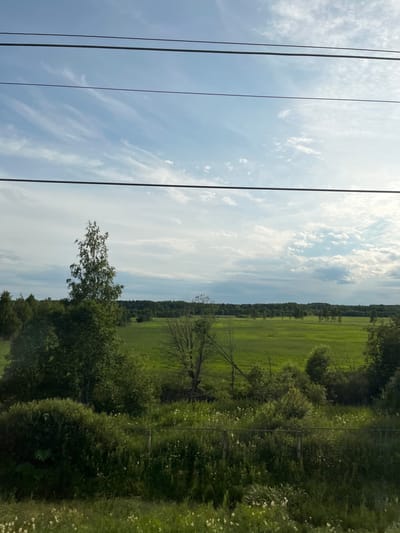This image captures a pastoral scene in Zhary, Russia. The composition is dominated by a vast, verdant field stretching towards a distant tree line. A bright, partly cloudy sky occupies the upper portion of the frame, suggesting daytime. In the foreground, several dark electrical wires stretch across the image, indicating the presence of infrastructure near the rural landscape. The overall impression is one of natural beauty and tranquility, with the open field and lush greenery evoking a sense of peacefulness. The time of day appears to be mid-morning or afternoon, given the illumination and cloud cover. The location is clearly rural, with the field and trees typical of the Russian countryside. No people, text, or specific events are depicted.
